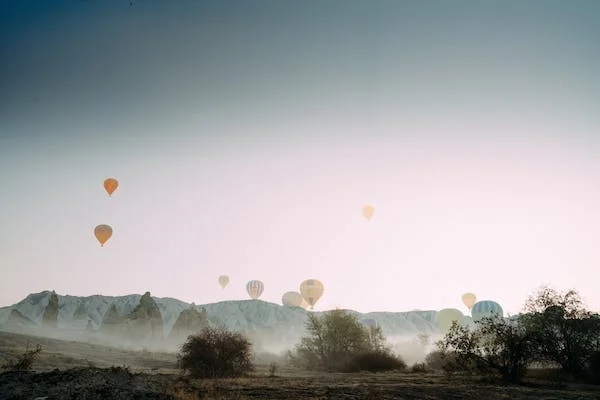 INTP 爱情与浪漫