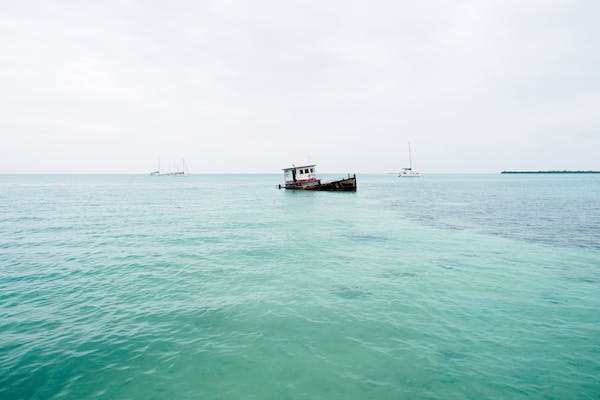 5w4 擅长艺术，想象力丰富的“创意独行侠”。