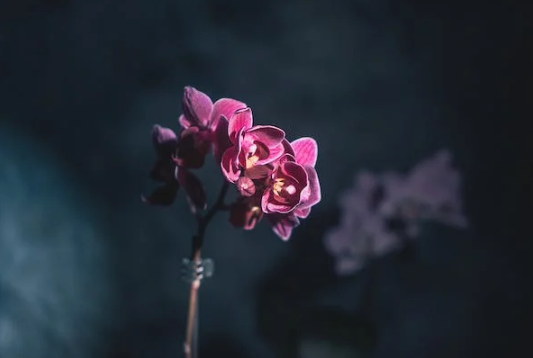 对2号的误解：活雷锋式的帮助别人