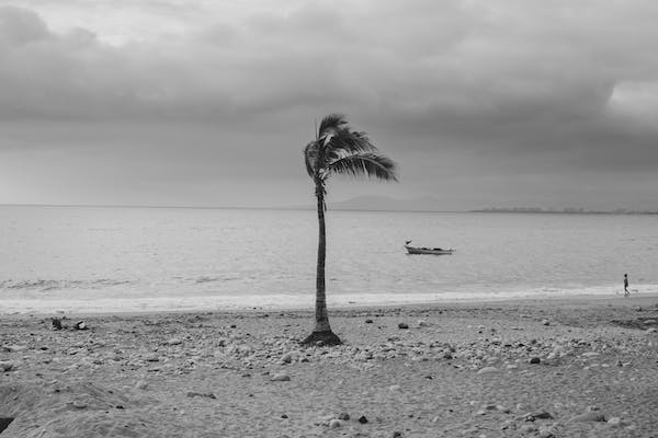  4W5由于其阴郁、抽离、内向，被称为“经典4”