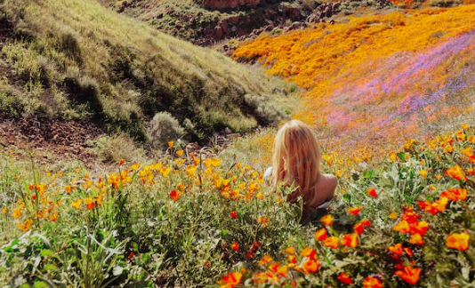 一对一型4号（竞争/不忿）竞争欲望很强，类似3号的目标感