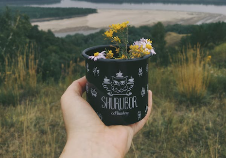 浪漫型：：4号、某些3号