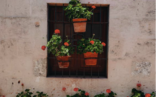 执政官（ESFJ）：八卦