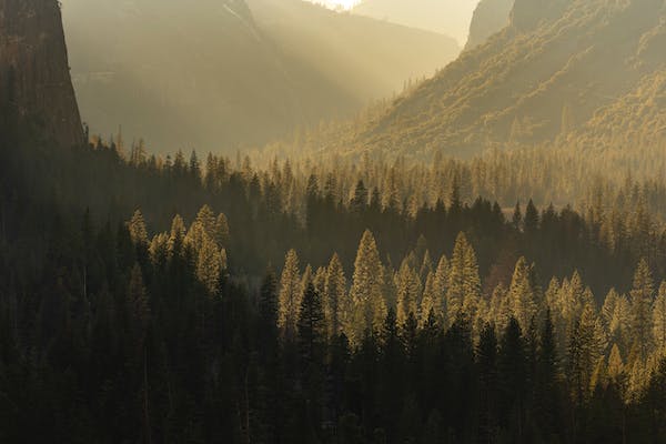 4号人格形成的原因追溯