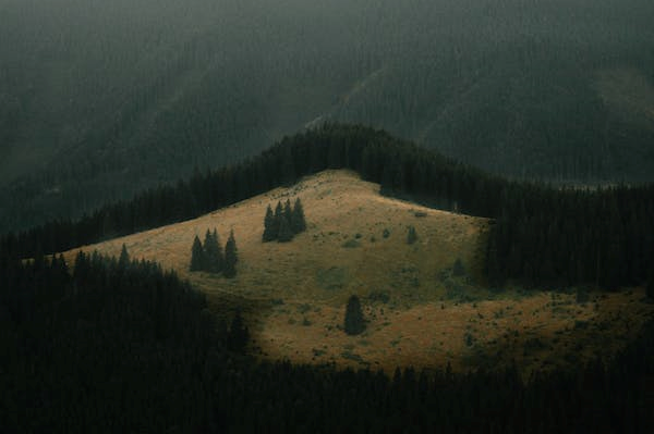 9号人格形成的原因追溯