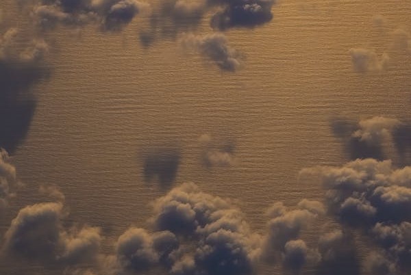 9w8（平和型）进阶