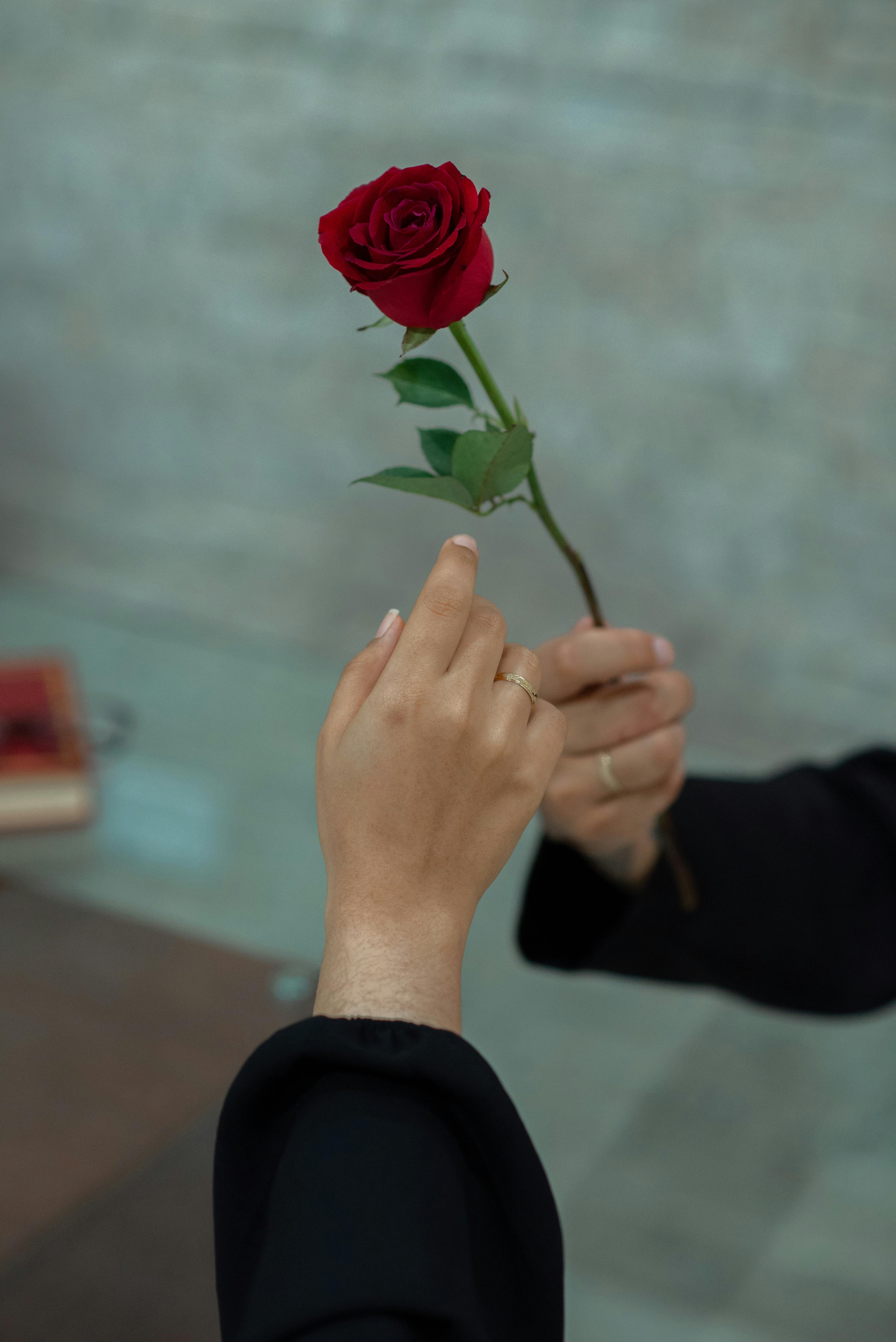 INFJ：揭示这个稀有人格类型的深层含义