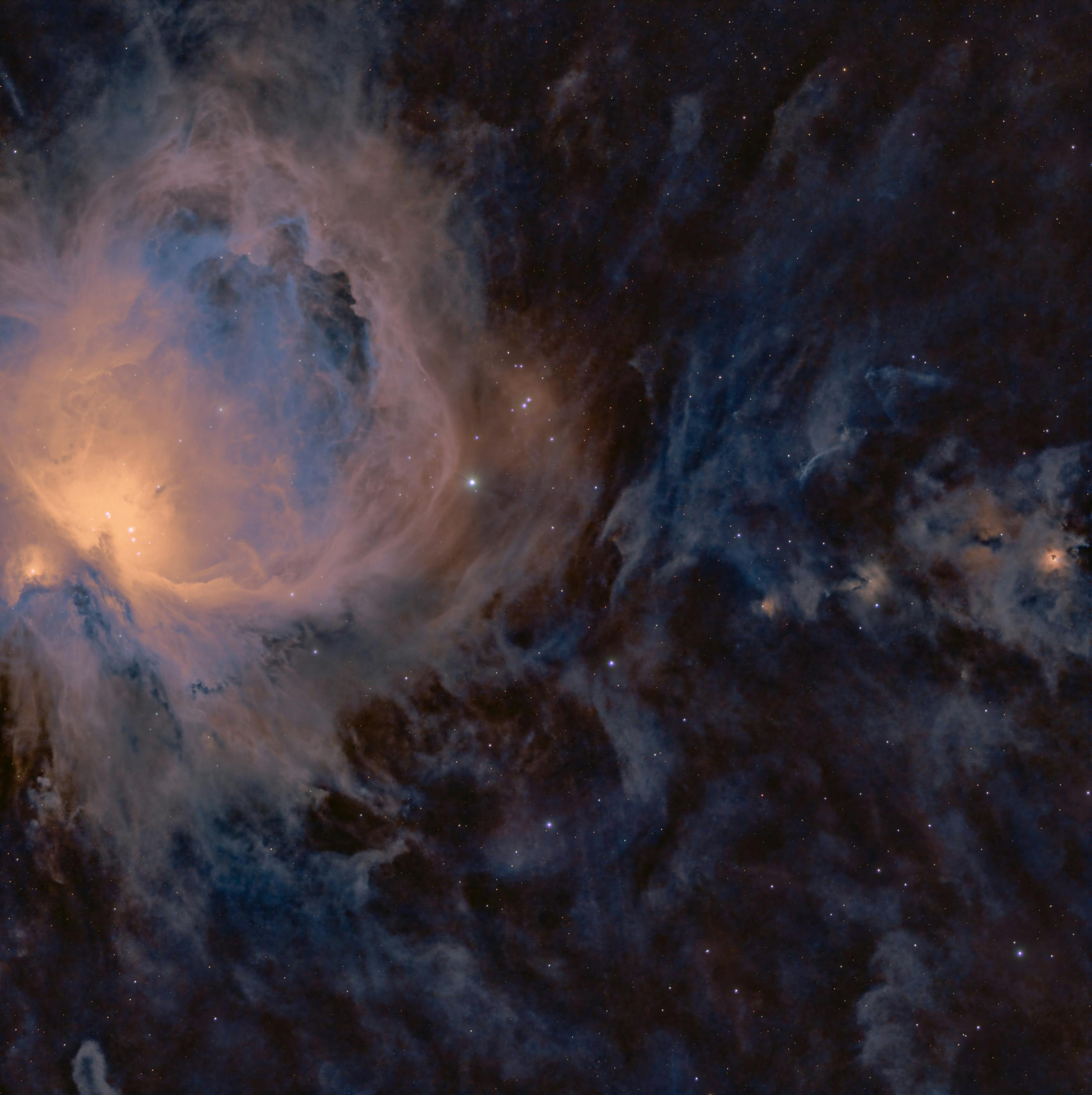 ESFP与INFP：活力与理想的碰撞，是否能共创美好？