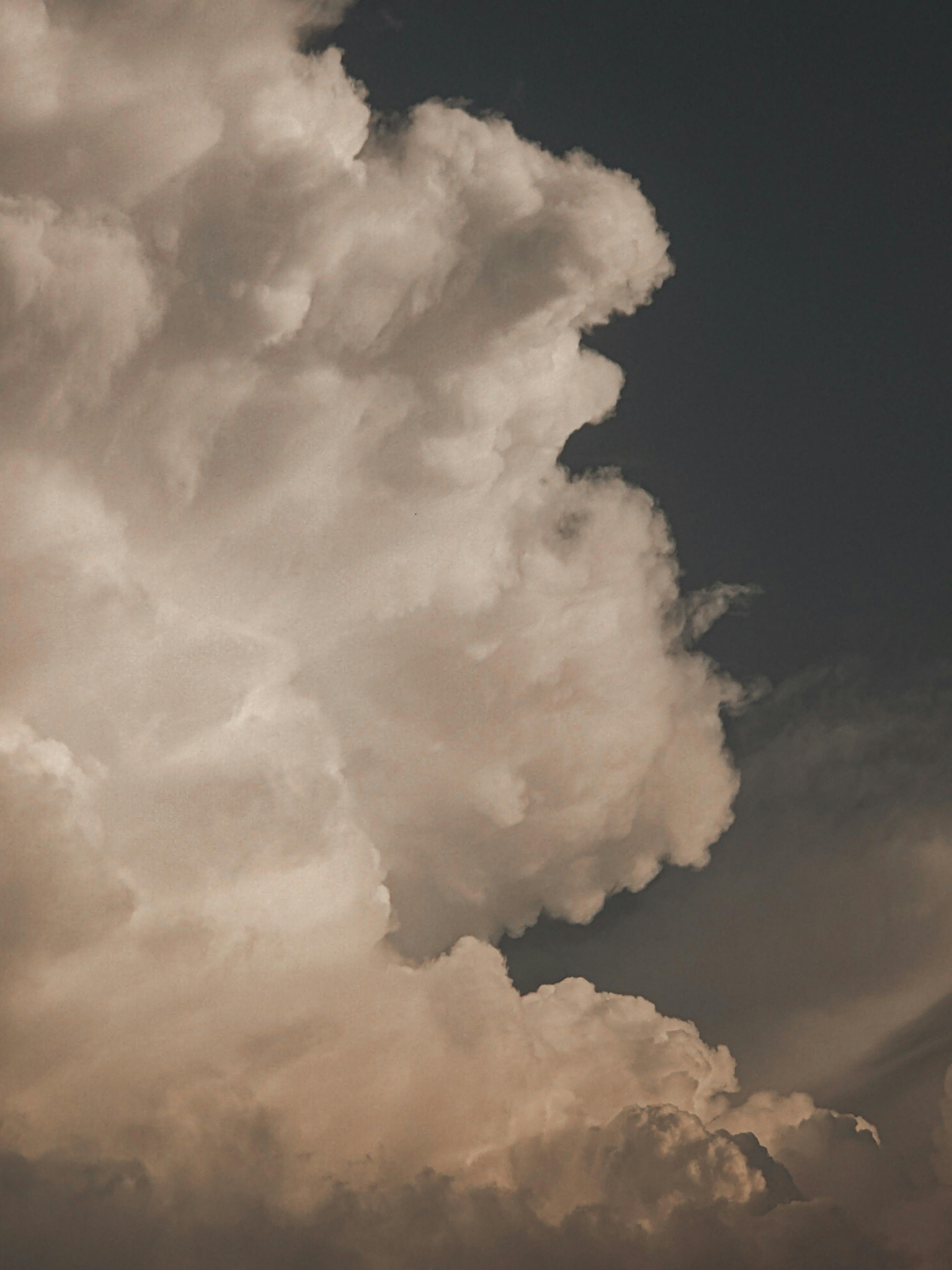 你是哪种人格？揭开MBTI的神秘面纱，发现真正的自己！