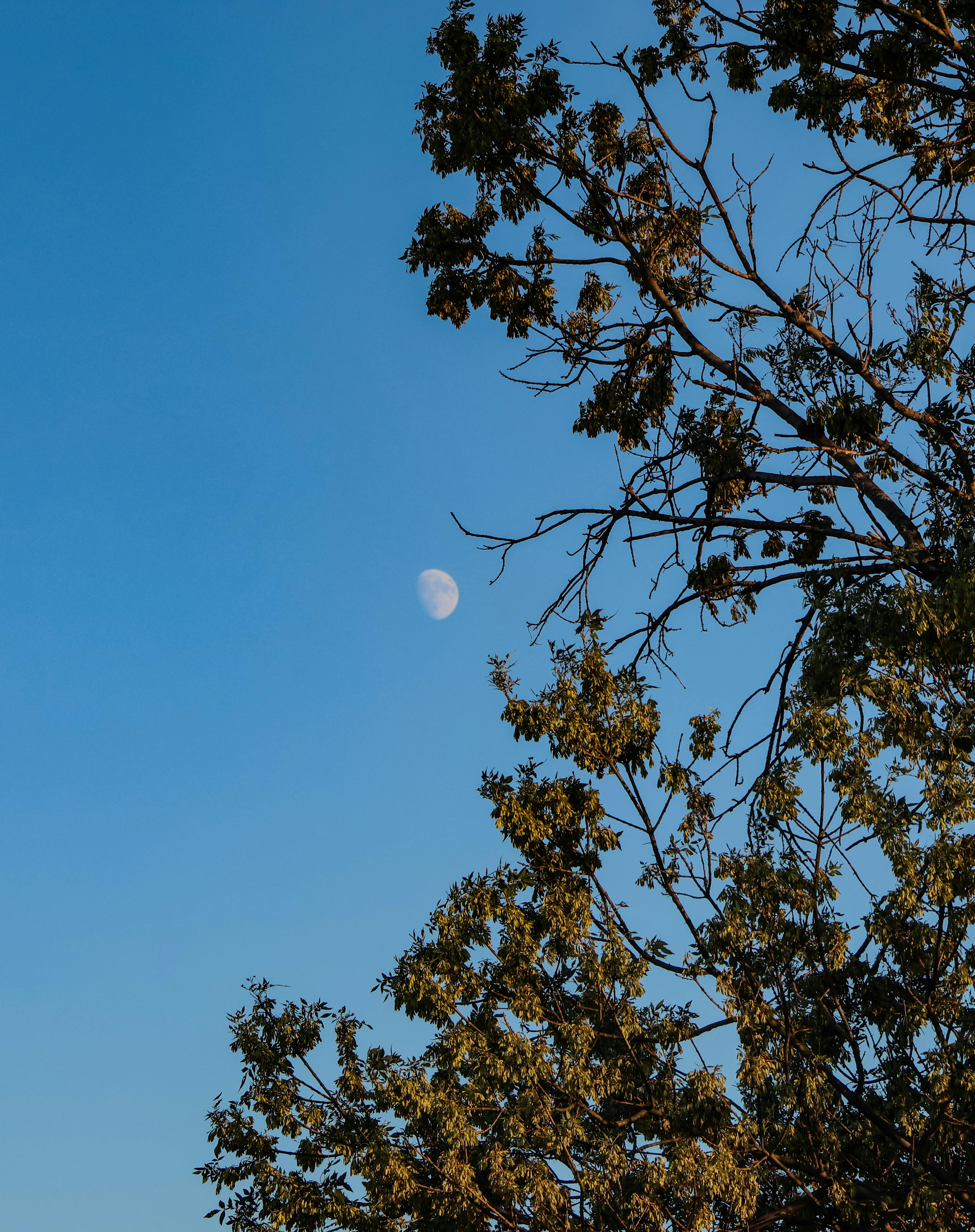 如何理解ENFP的多样性与复杂性？
