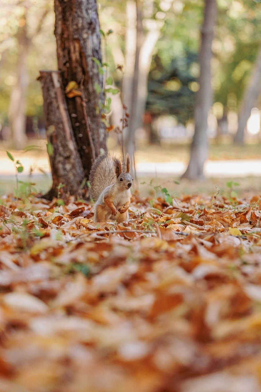 INFJ的秘密武器：独处时的鲜活力量！