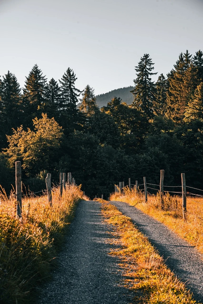 INFP：心灵深处渴望的爱，究竟是什么样的？