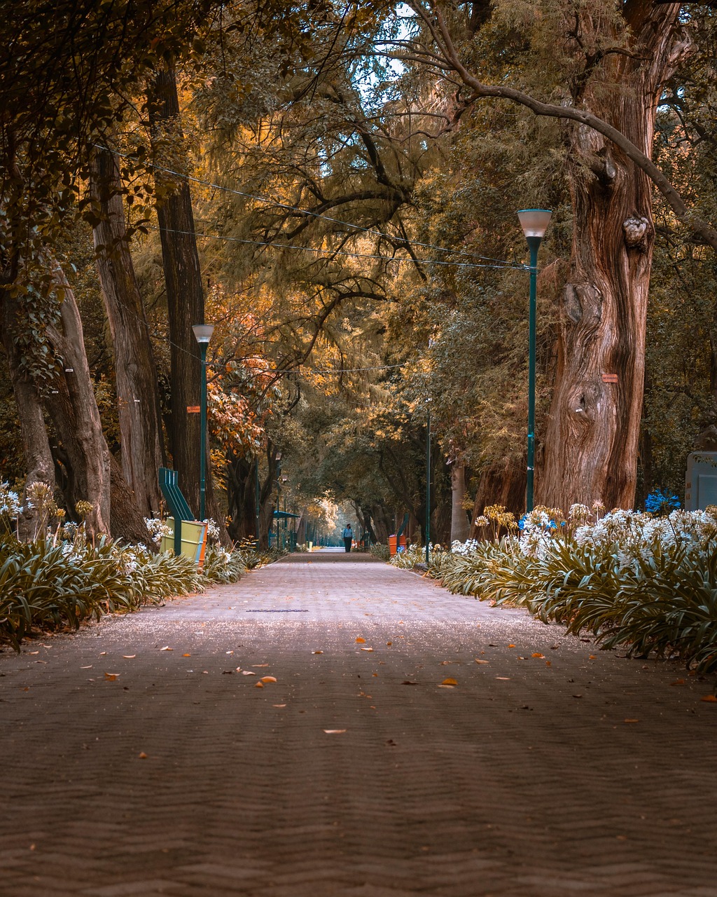 INFP的本能：告别否定，拥抱接纳与包容的心灵之旅！