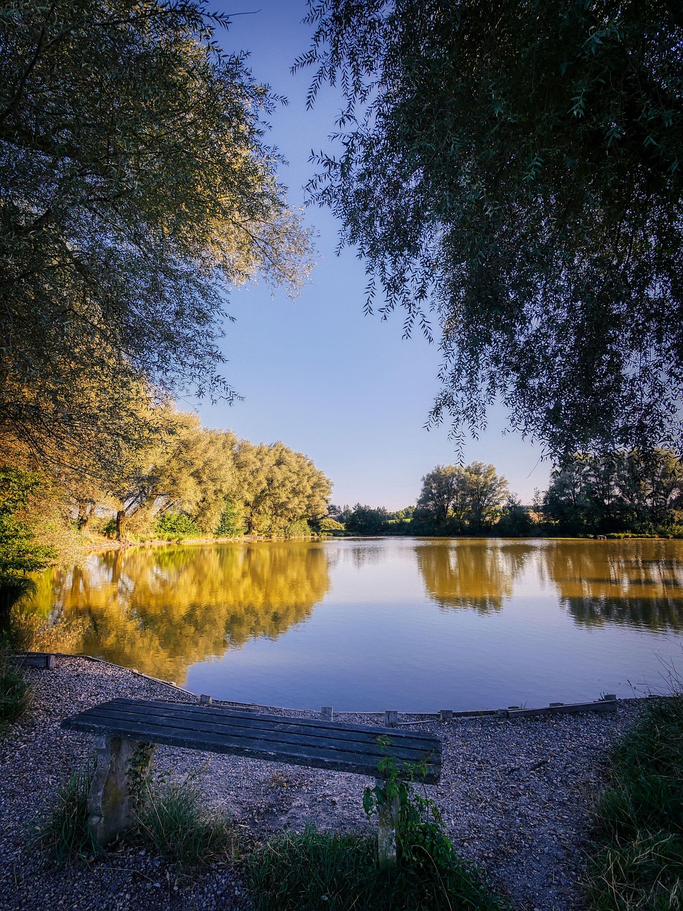 INFJ的孤独之旅：为何他们不喜欢交朋友？