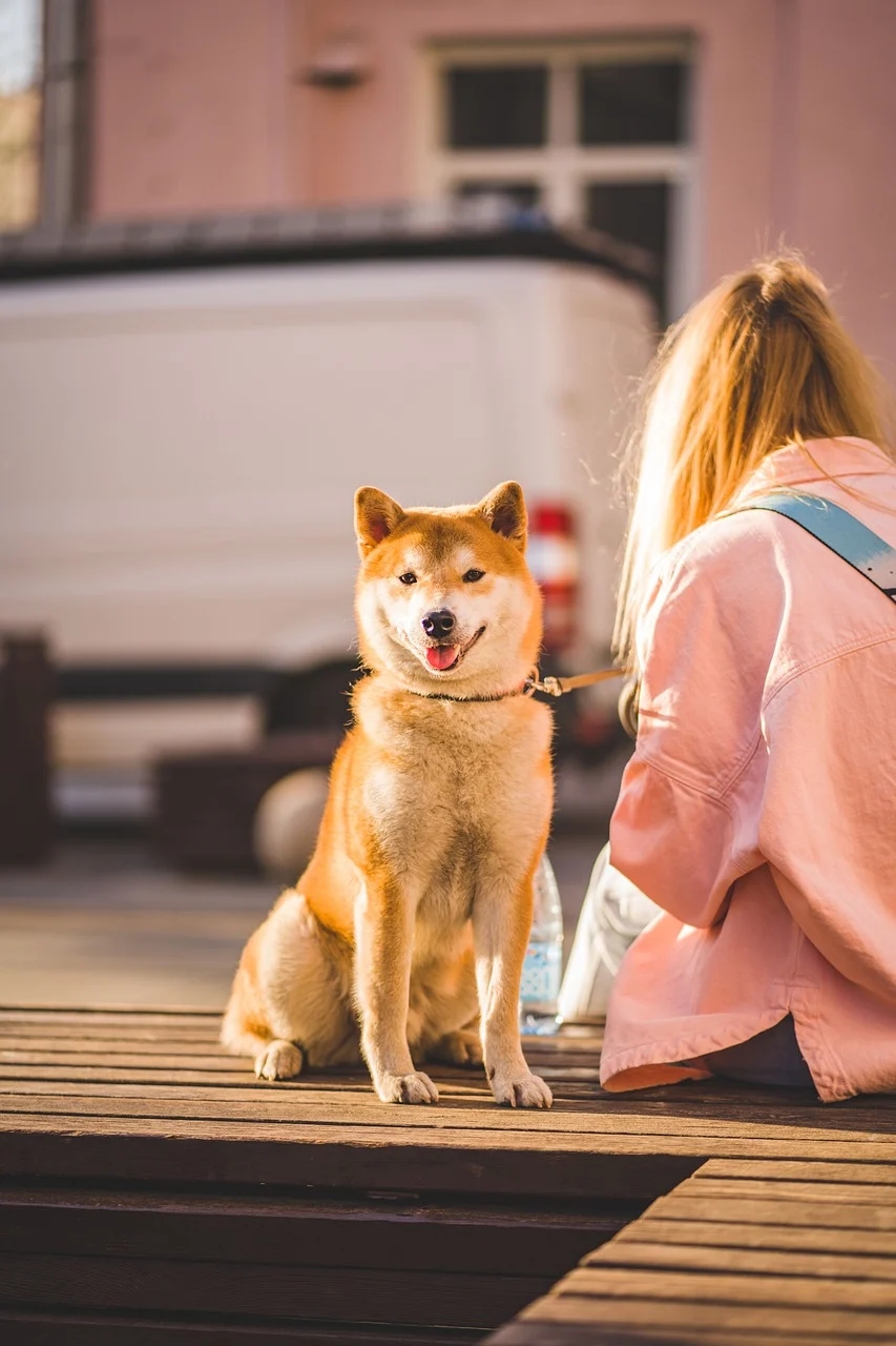 为何讨厌INFP的人其实只是嫉妒他们的独特魅力？